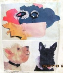 761dog